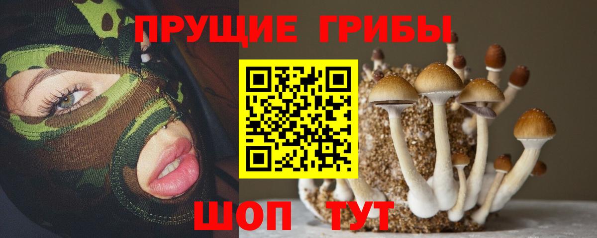 цена наркотик  Вход с VPN  Заринск  Псилоцибиновые грибы прущие грибы 